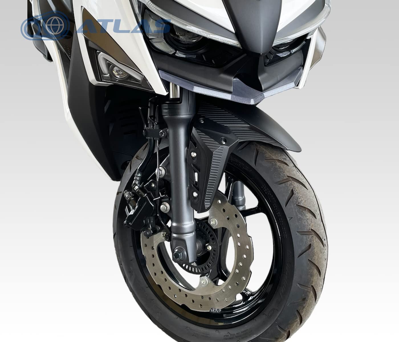 Amazon | APEXX シグナス グリファス 6型 CYGNUS GRYPHUS GP フロント
